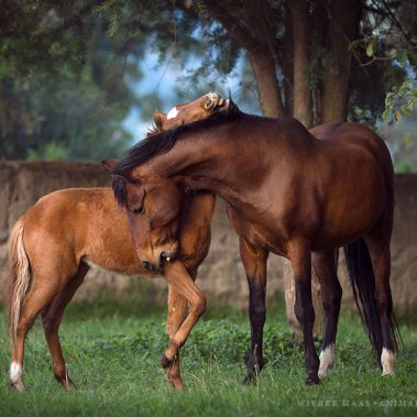 All You Need Is Ecuador: Reisebericht