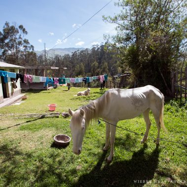 All You Need Is Ecuador: Reisebericht