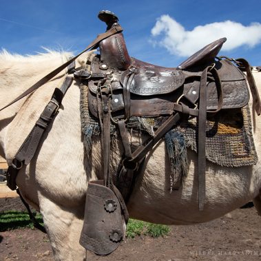 All You Need Is Ecuador: Reisebericht