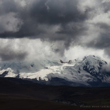 All You Need Is Ecuador: Reisebericht