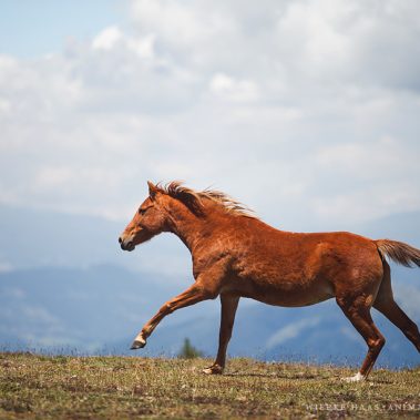All You Need Is Ecuador: Reisebericht