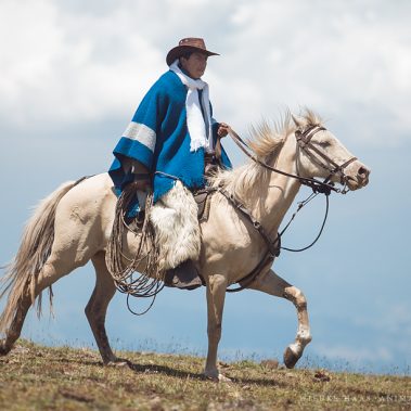 All You Need Is Ecuador: Reisebericht