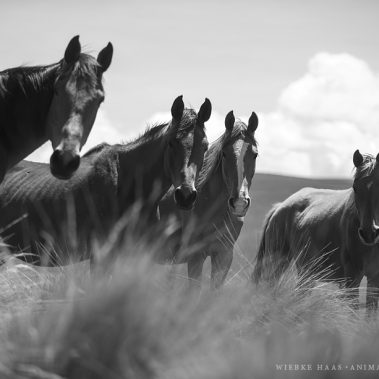 All You Need Is Ecuador: Reisebericht