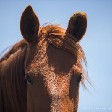 All You Need Is Ecuador: Reisebericht