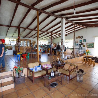 animal, equine, equus, fine art, horse, horse photography, Pferd, Pferde, Pferdefoto, Pferdefotograf, Pferdefotografie, photography, Tierfotograf, Tierfotografie