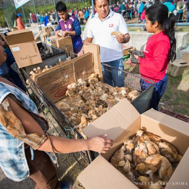 All You Need Is Ecuador: Reisebericht