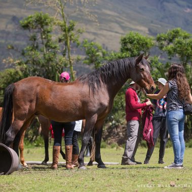 All You Need Is Ecuador: Reisebericht