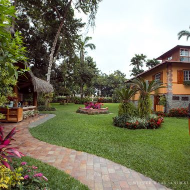 animal, equine, equus, fine art, horse, horse photography, Pferd, Pferde, Pferdefoto, Pferdefotograf, Pferdefotografie, photography, Tierfotograf, Tierfotografie