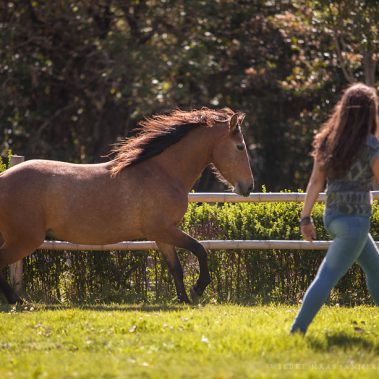 All You Need Is Ecuador: Reisebericht