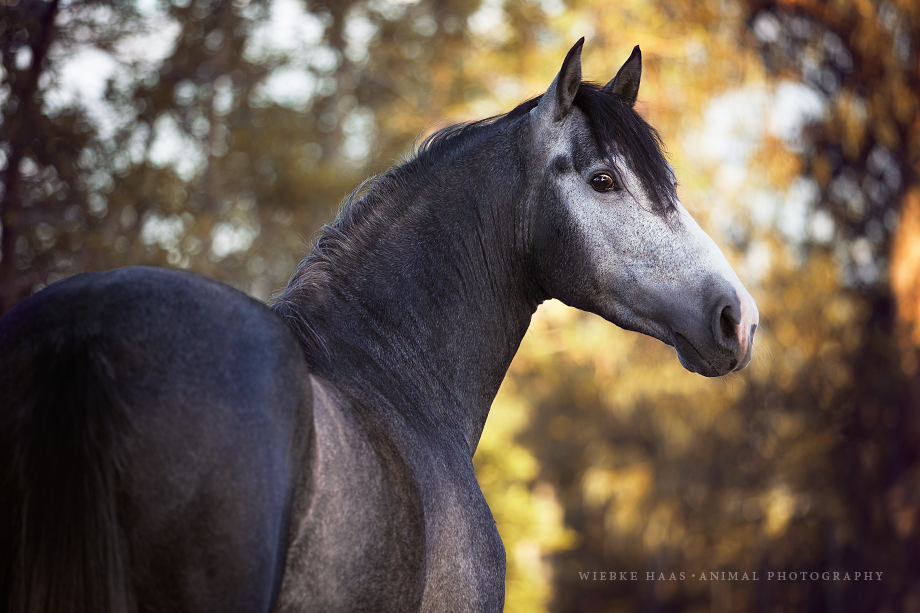 All You Need Is Ecuador: Reisebericht