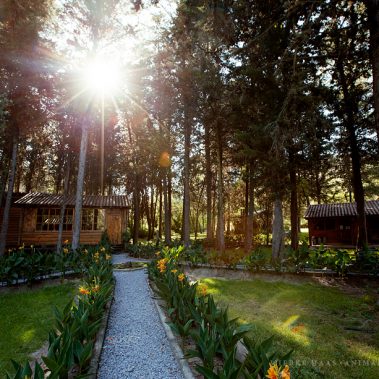 animal, equine, equus, fine art, horse, horse photography, Pferd, Pferde, Pferdefoto, Pferdefotograf, Pferdefotografie, photography, Tierfotograf, Tierfotografie