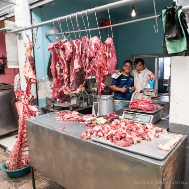 All You Need Is Ecuador: Reisebericht