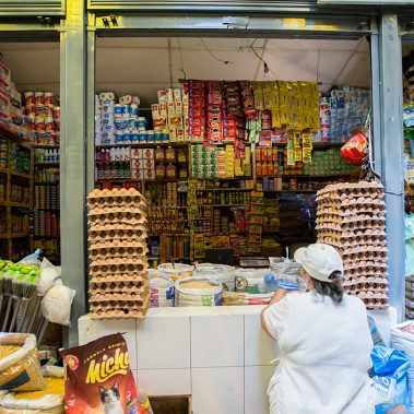 All You Need Is Ecuador: Reisebericht