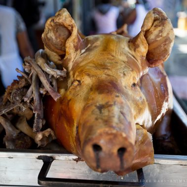 All You Need Is Ecuador: Reisebericht