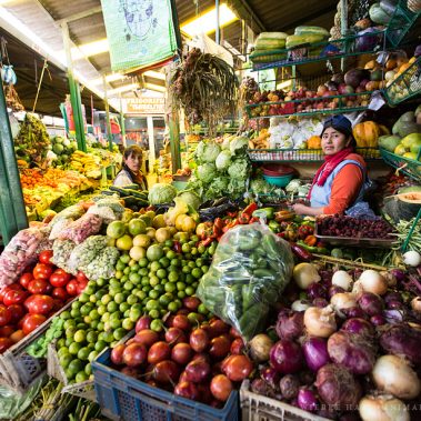 All You Need Is Ecuador: Reisebericht