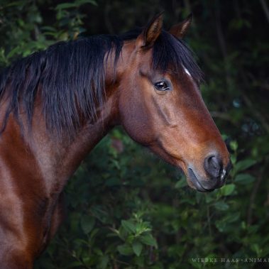 All You Need Is Ecuador: Reisebericht