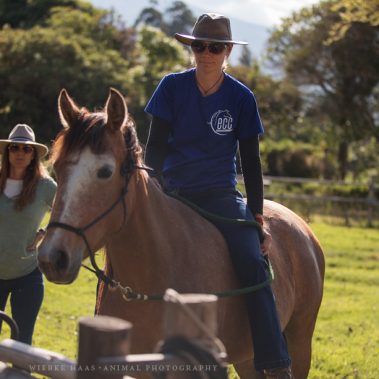 All You Need Is Ecuador: Reisebericht