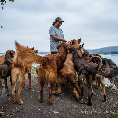 animal, equine, equus, fine art, horse, horse photography, Pferd, Pferde, Pferdefoto, Pferdefotograf, Pferdefotografie, photography, Tierfotograf, Tierfotografie