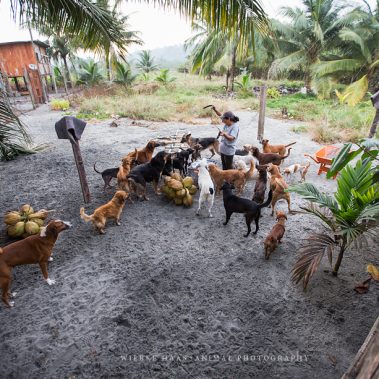 Arbeit im Rescate Animal Mompiche