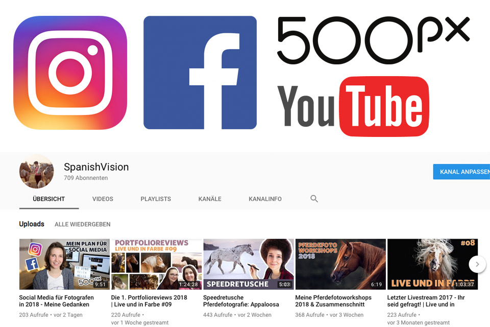 Social Media, Fotografie, Fotografen, Tierfotografie, Pferdefotografie