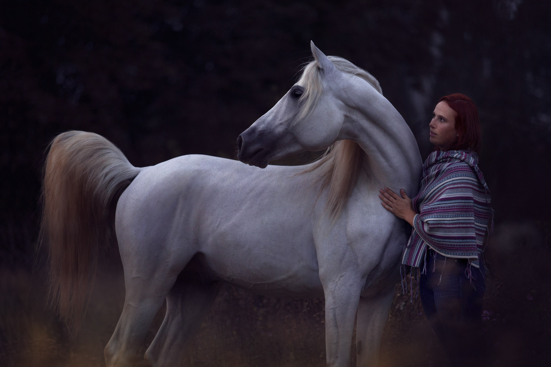 Bildbearbeitung mit Photoshop: Wiederherstellung, Farbanpassung, D&B an weißem Pferd mit Frau